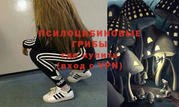 мдпв Пенза
