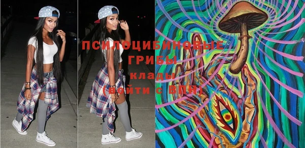 индика Балашиха