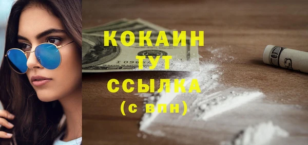 ПСИЛОЦИБИНОВЫЕ ГРИБЫ Инта