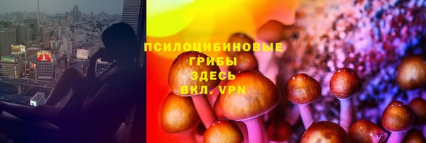 дмт Зеленокумск