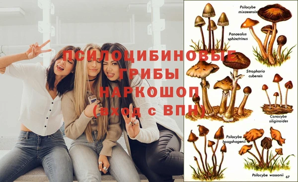 индика Балашиха
