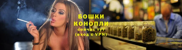 ПСИЛОЦИБИНОВЫЕ ГРИБЫ Инта