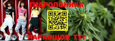стафф Канаш