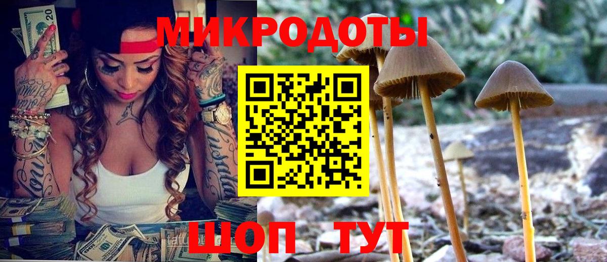 Галлюциногенные грибы Cubensis Саянск