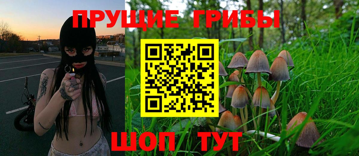 Псилоцибиновые грибы GOLDEN TEACHER  Вход с VPN  Саянск  Псилоцибиновые грибы Psilocybe 