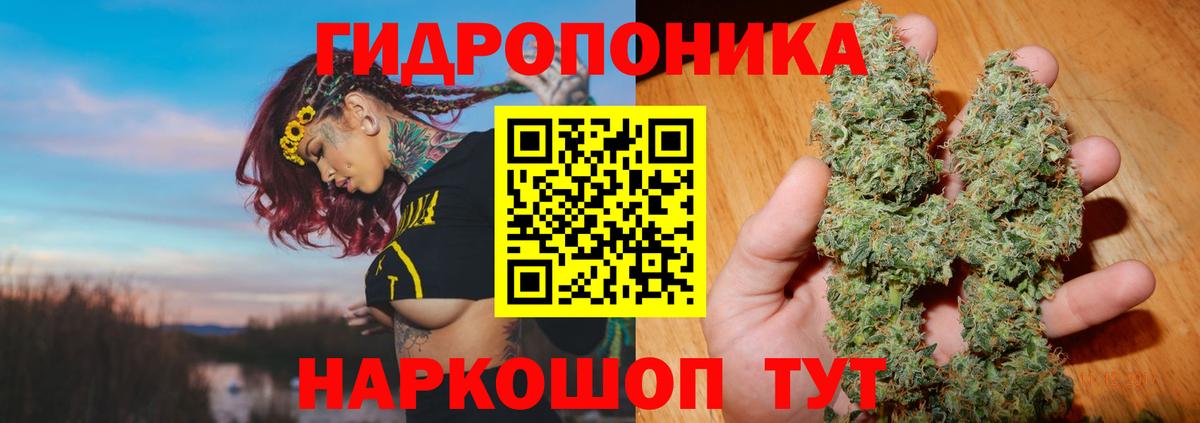 Бошки Шишки семена  МАРИХУАНА конопля  Саянск  Вход с VPN  Шишки марихуана Ganja 